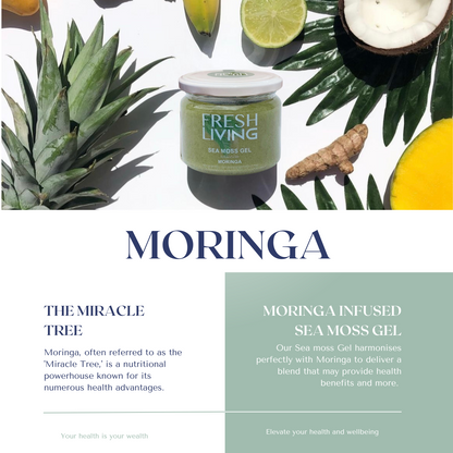 Moringa Energy Booster - Moringa Infused Sea Moss Gel