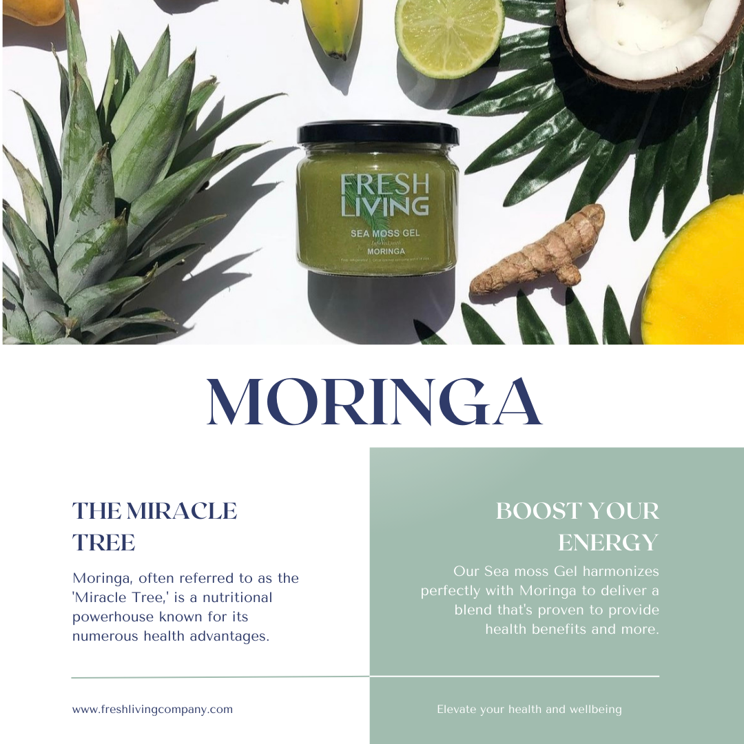 Moringa Energy Booster - Moringa Infused Sea Moss Gel