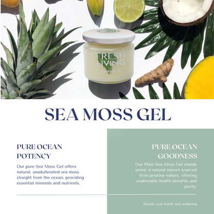 The All Rounder - Natural Sea Moss Gel