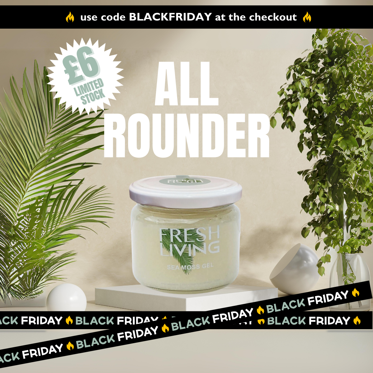 The All Rounder - Natural Sea Moss Gel